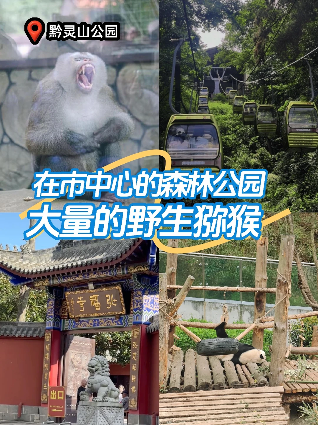 刚从贵阳旅游回来！只想说🌍避开坑点！