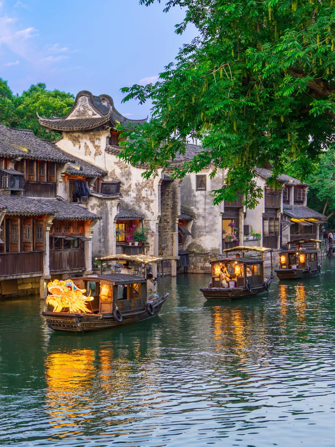 🌿一个人去乌镇太爽了！独行侠的治愈攻略