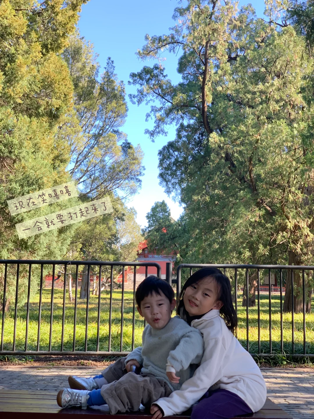 天坛的古松林，漫溢的秋意与松影