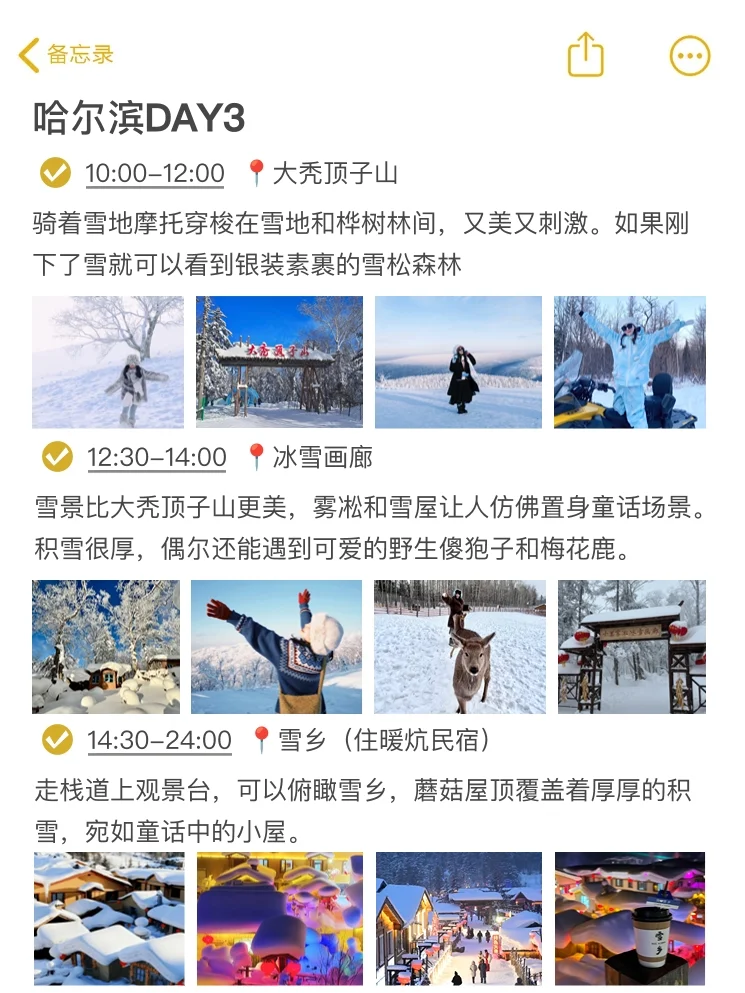 被自己做的哈尔滨旅游攻略满意到睡不着。。