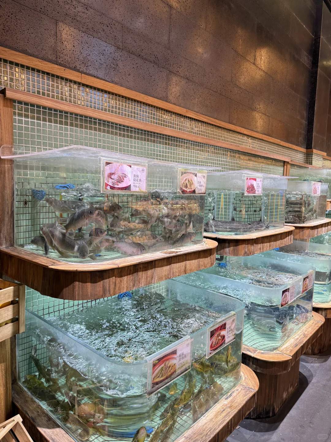 来长沙旅游必吃的一家庭院湘菜！！！