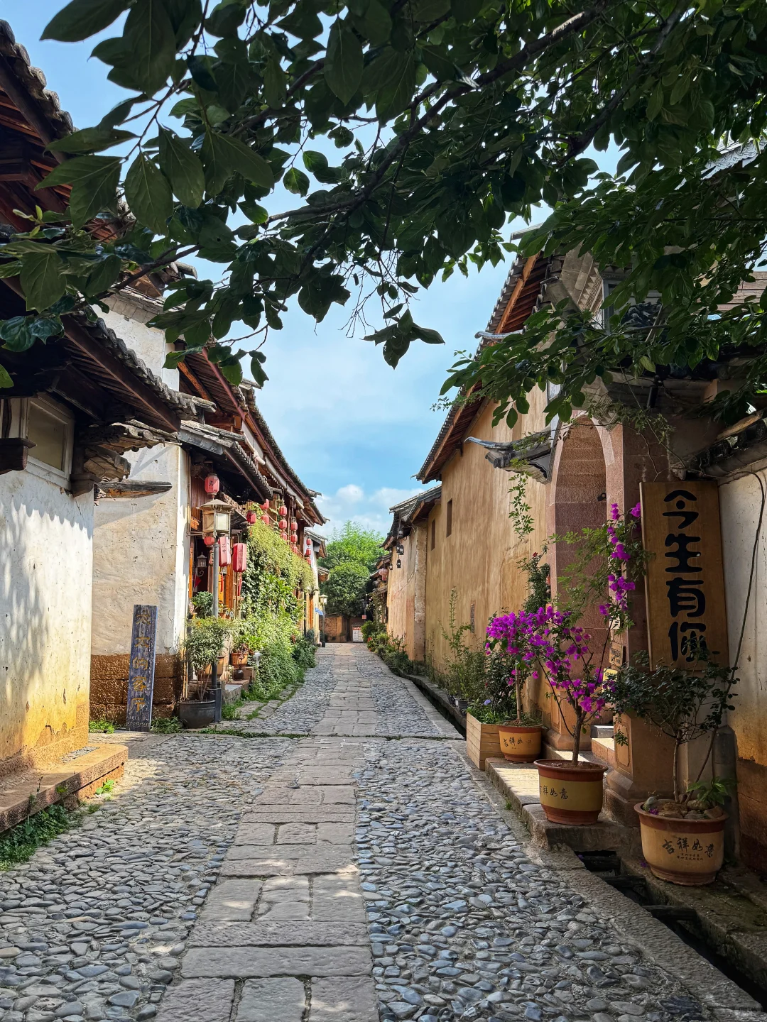 可能要去到大理才算爱的认真❤️