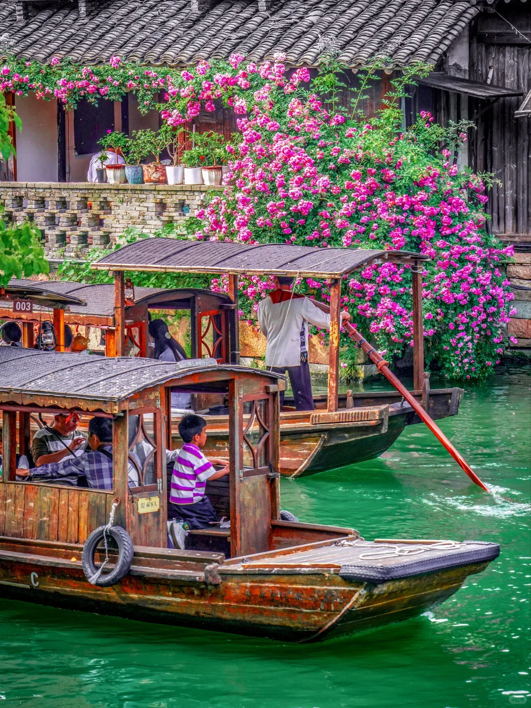 🌿一个人去乌镇太爽了！独行侠的治愈攻略