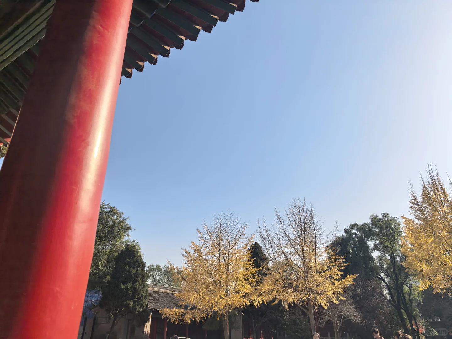 碑林博物馆半日游