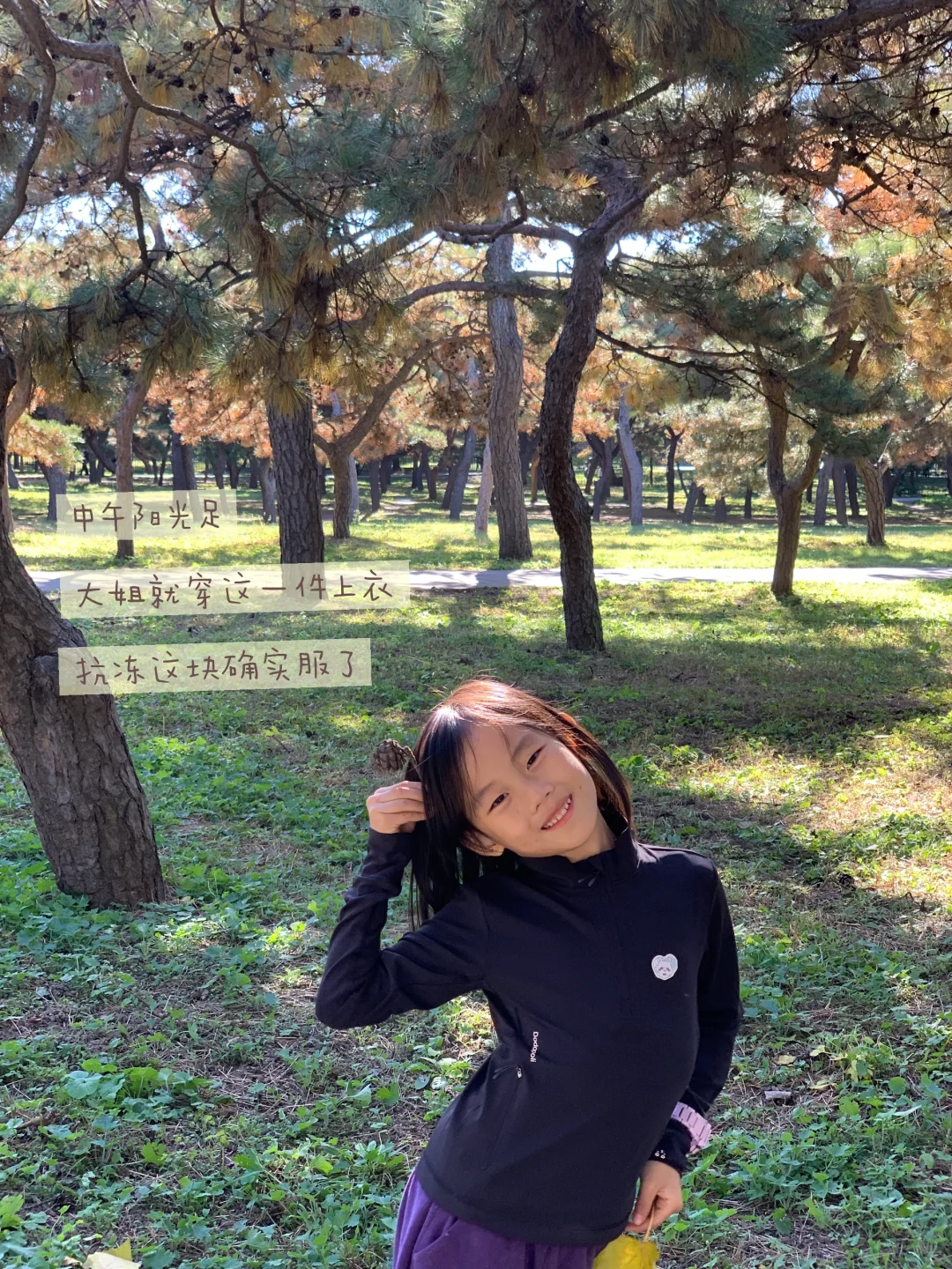 天坛的古松林，漫溢的秋意与松影