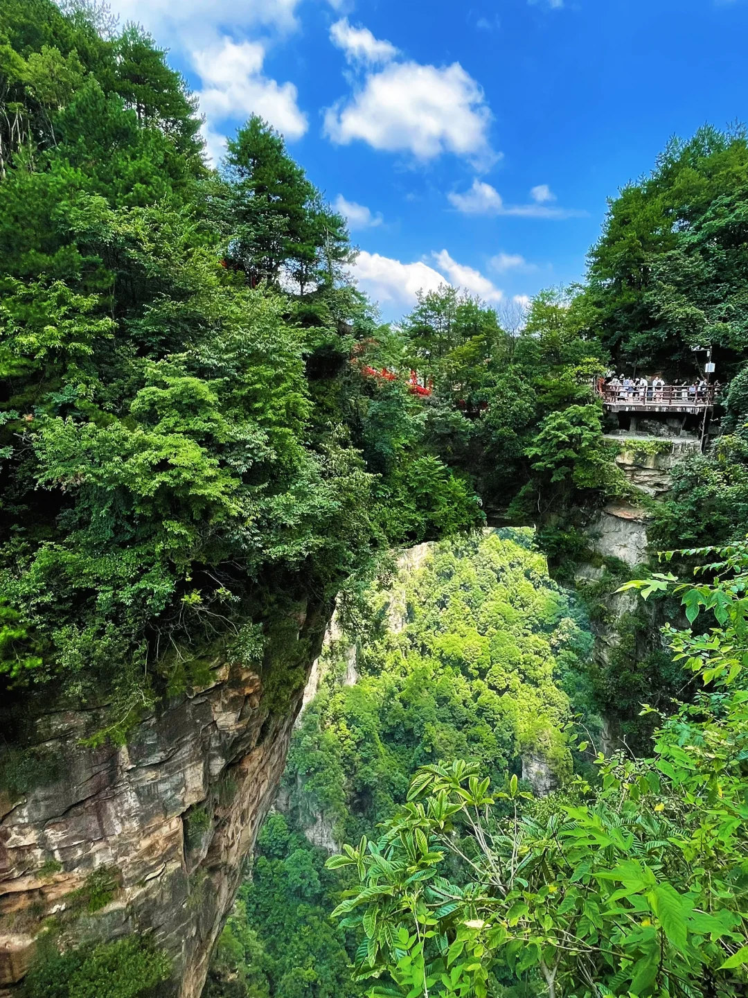 📍𝒛𝒉𝒂𝒏𝒈 𝒋𝒊𝒂 𝒋𝒊𝒆 ᨏ҉ᨏ ོ