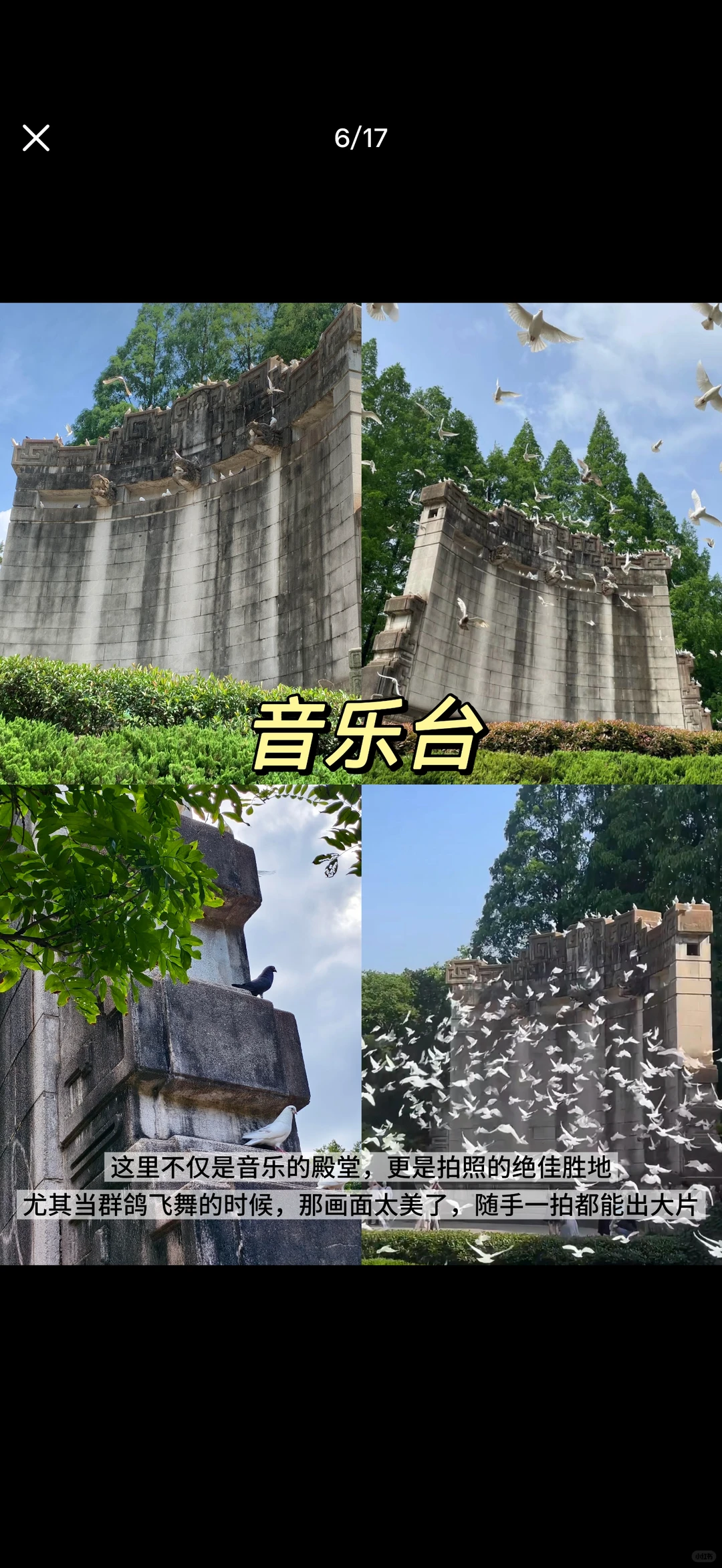 11.22实况，南京你真的没有淡季的吗？