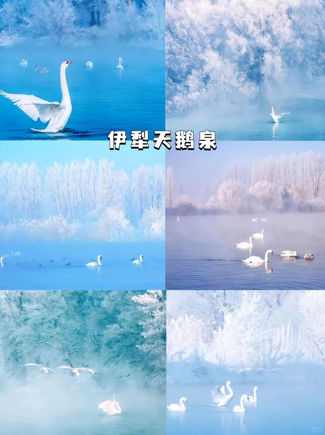 新疆10大冬季必去景点堪称国内雪景天花板！