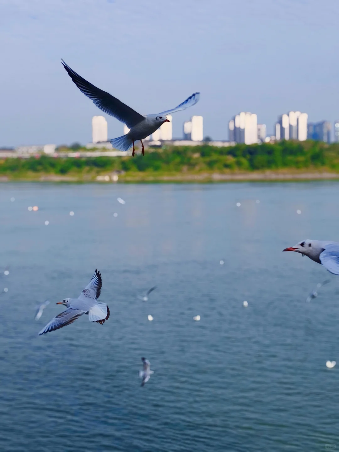 特种兵泸州一日游|重庆出发,一天玩透酒城