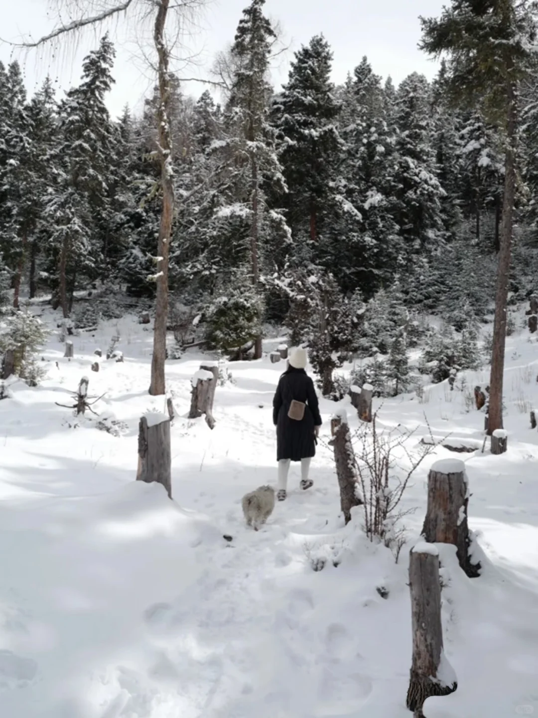 松潘玩雪已回!坚决不删,能劝一个是一个……