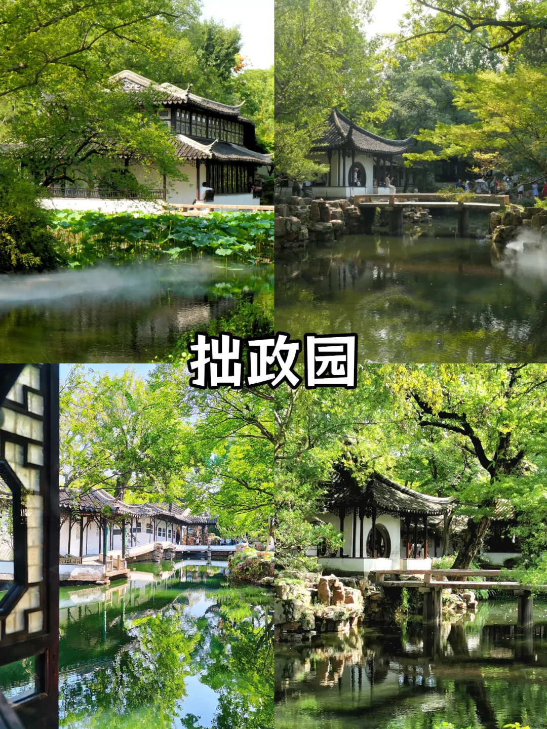 苏州一定要去打卡的9大景点(一篇就够啦)