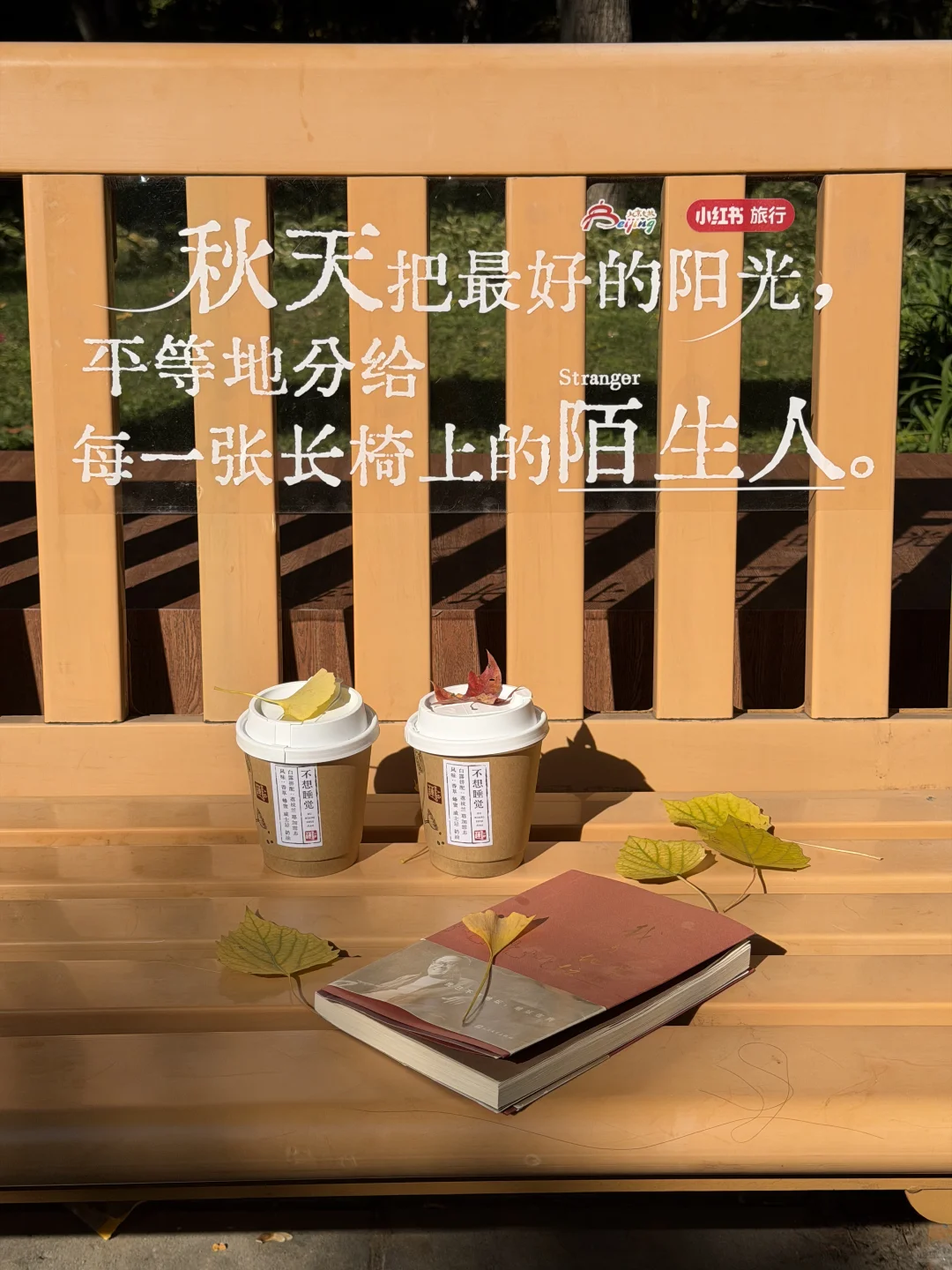 实拍live图,本周北京看银杏走这条路线🍂❗️