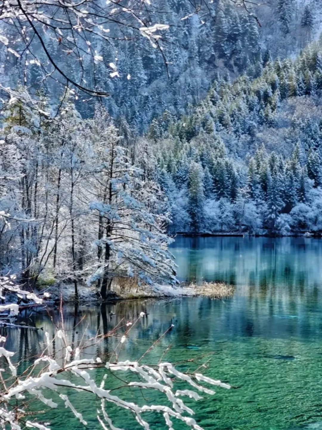 松潘玩雪已回!坚决不删,能劝一个是一个……