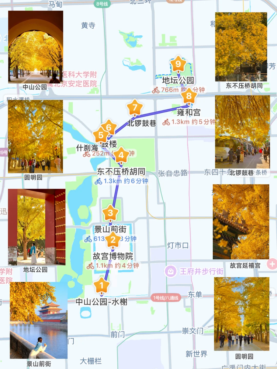 实拍live图,本周北京看银杏走这条路线🍂❗️
