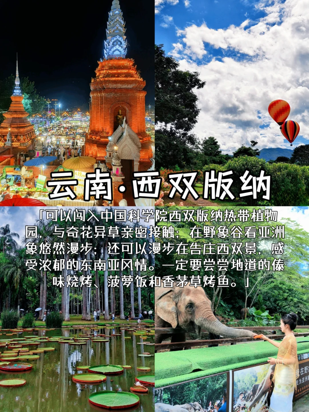 冬季反向旅游｜这些城市避寒简直绝了