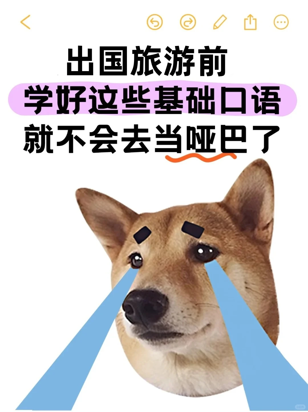 准备出国旅游怎么学英语✈️看这一篇就够了