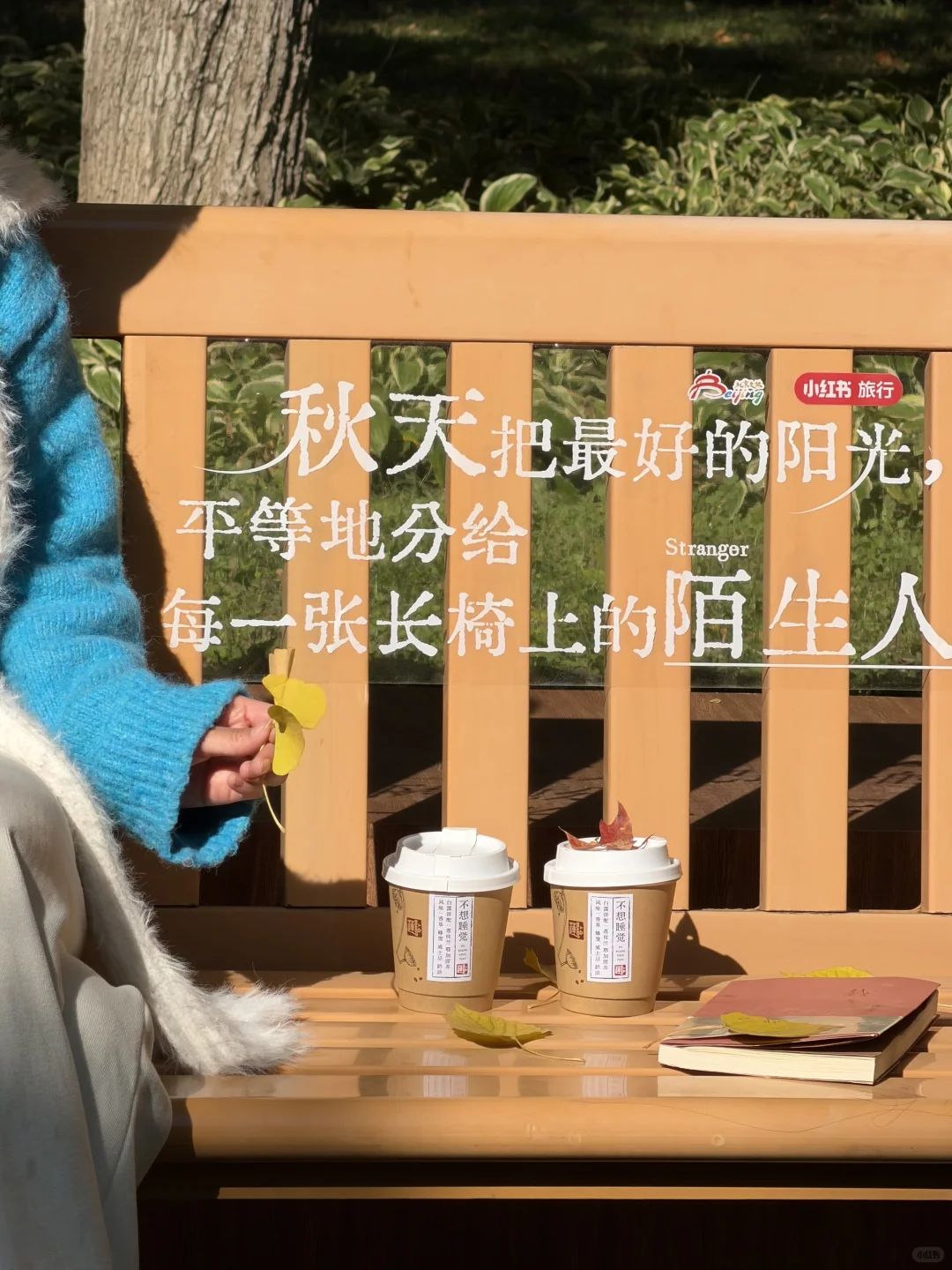 实拍live图,本周北京看银杏走这条路线🍂❗️