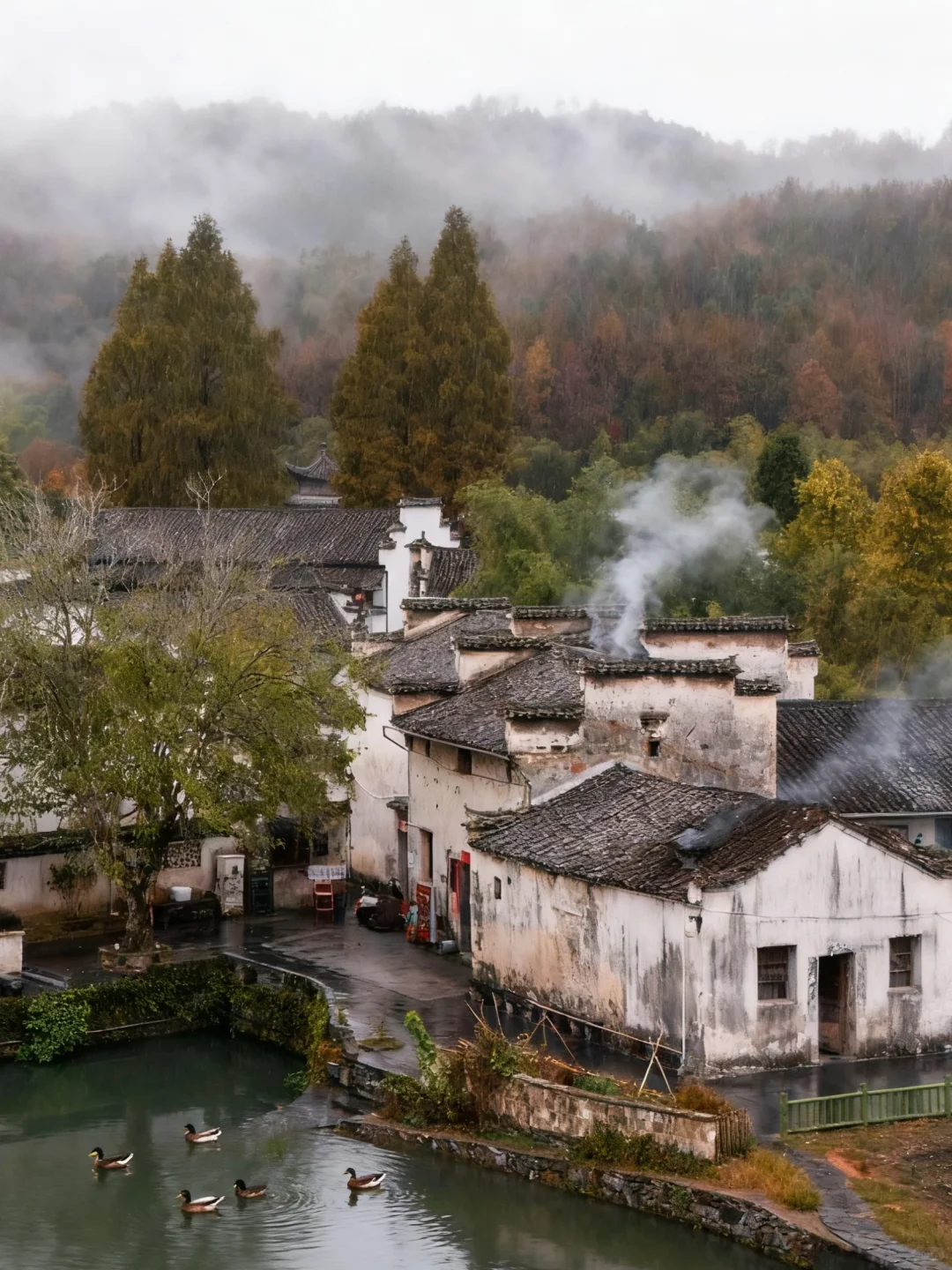 南京出发 | 挑战每周出去玩✨第60站📍黟县