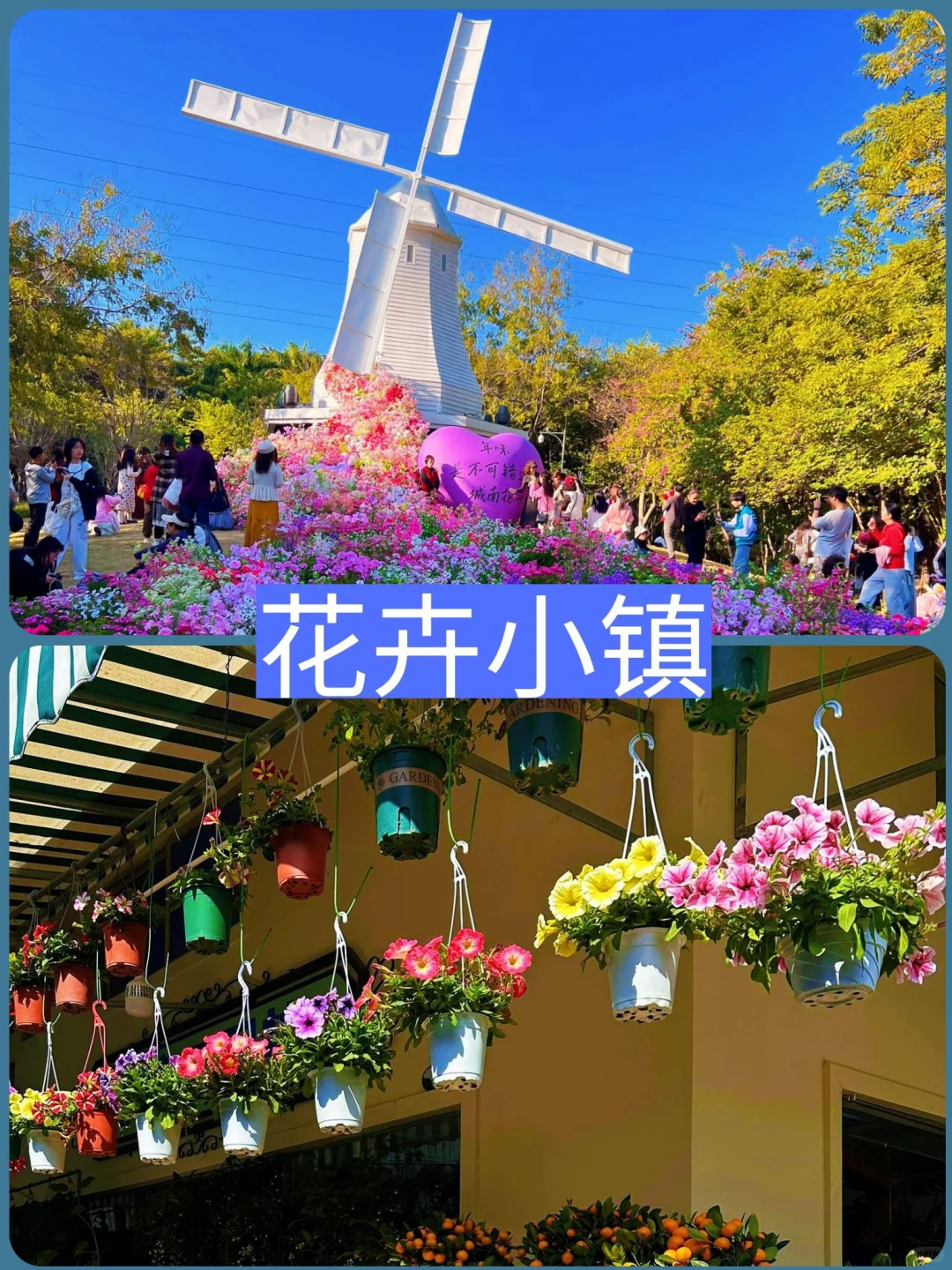 🌟深圳旅游｜值得去的8个景点‼️旅行前必看✔️
