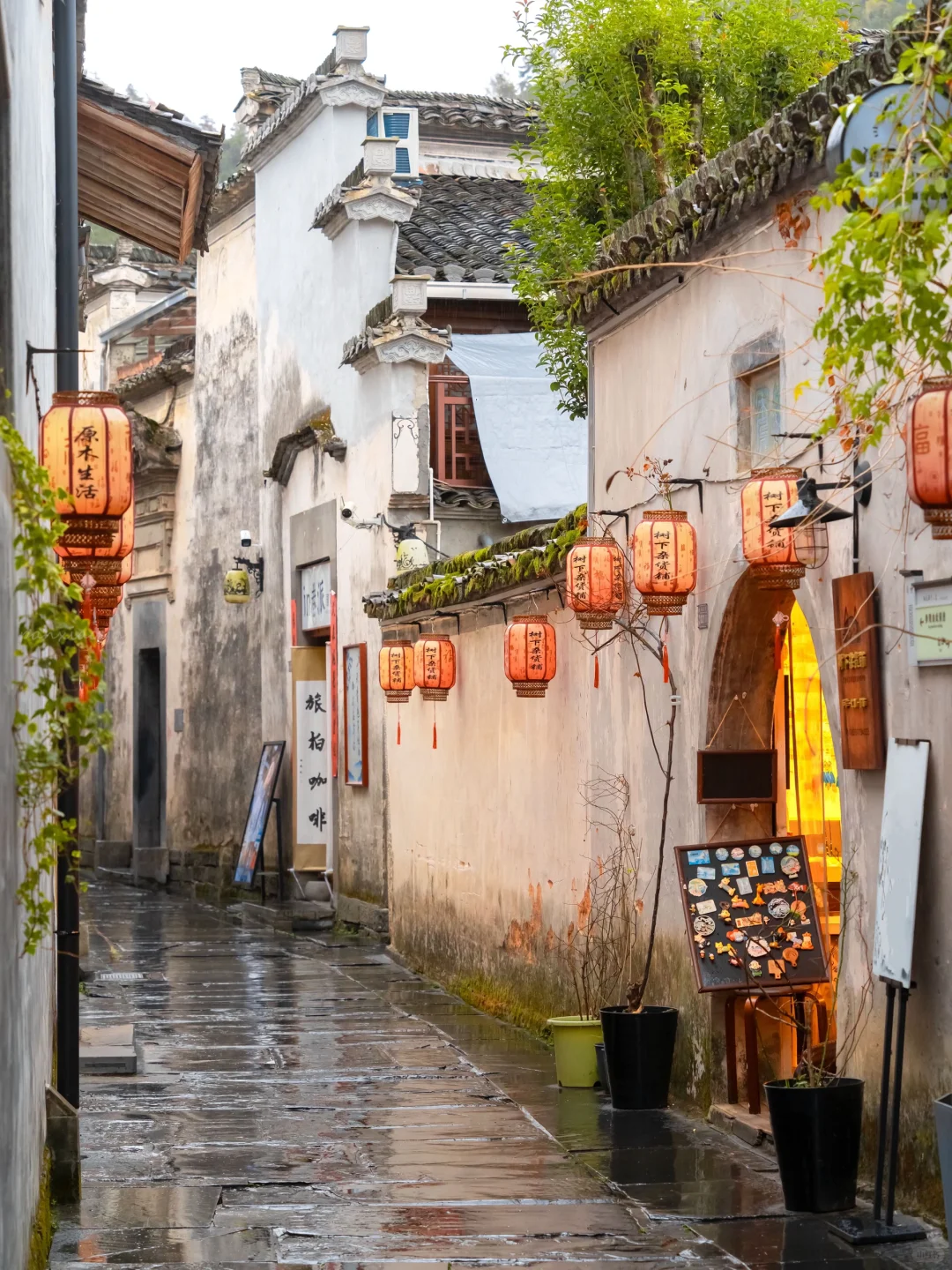 南京出发 | 挑战每周出去玩✨第60站📍黟县