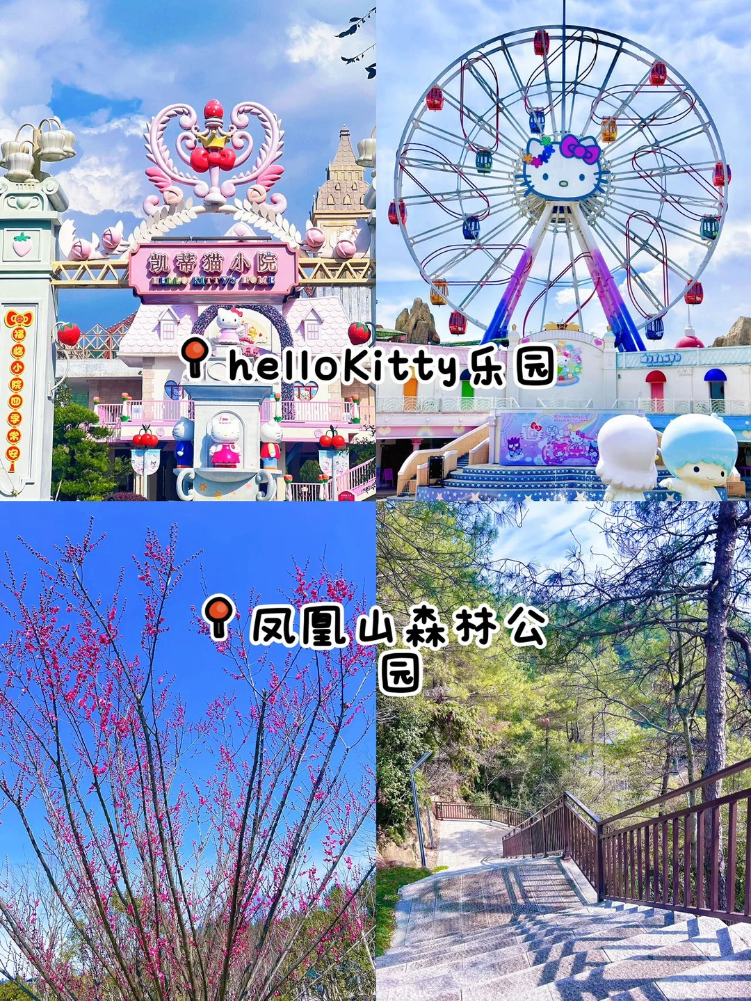 📝 熬夜整理 安吉纯吃+纯玩2日游攻略😋