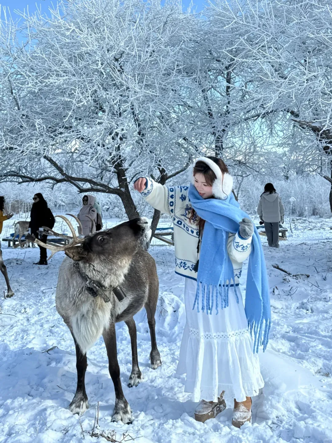 在国内!这长白山怎么长得和芬兰似的❄️