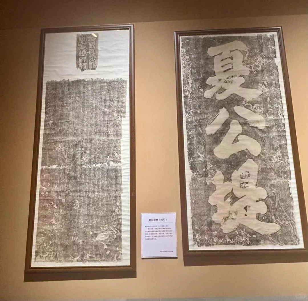 3000年文字的温度，国花园里的免费宝藏！