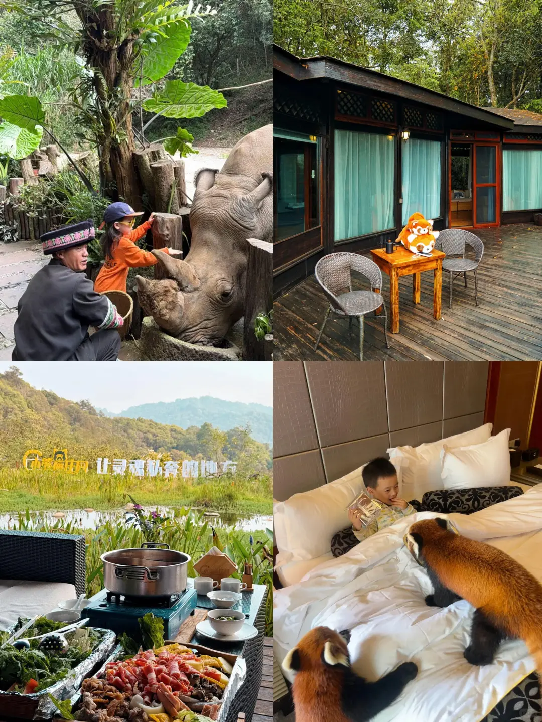 和老公去了版纳，这雨林酒店比泰国还震撼❗