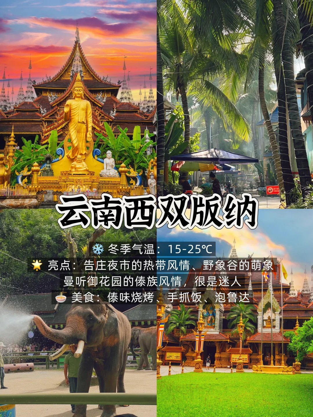 冬季反向游 ❄️假期就去这9个温暖城市吧！