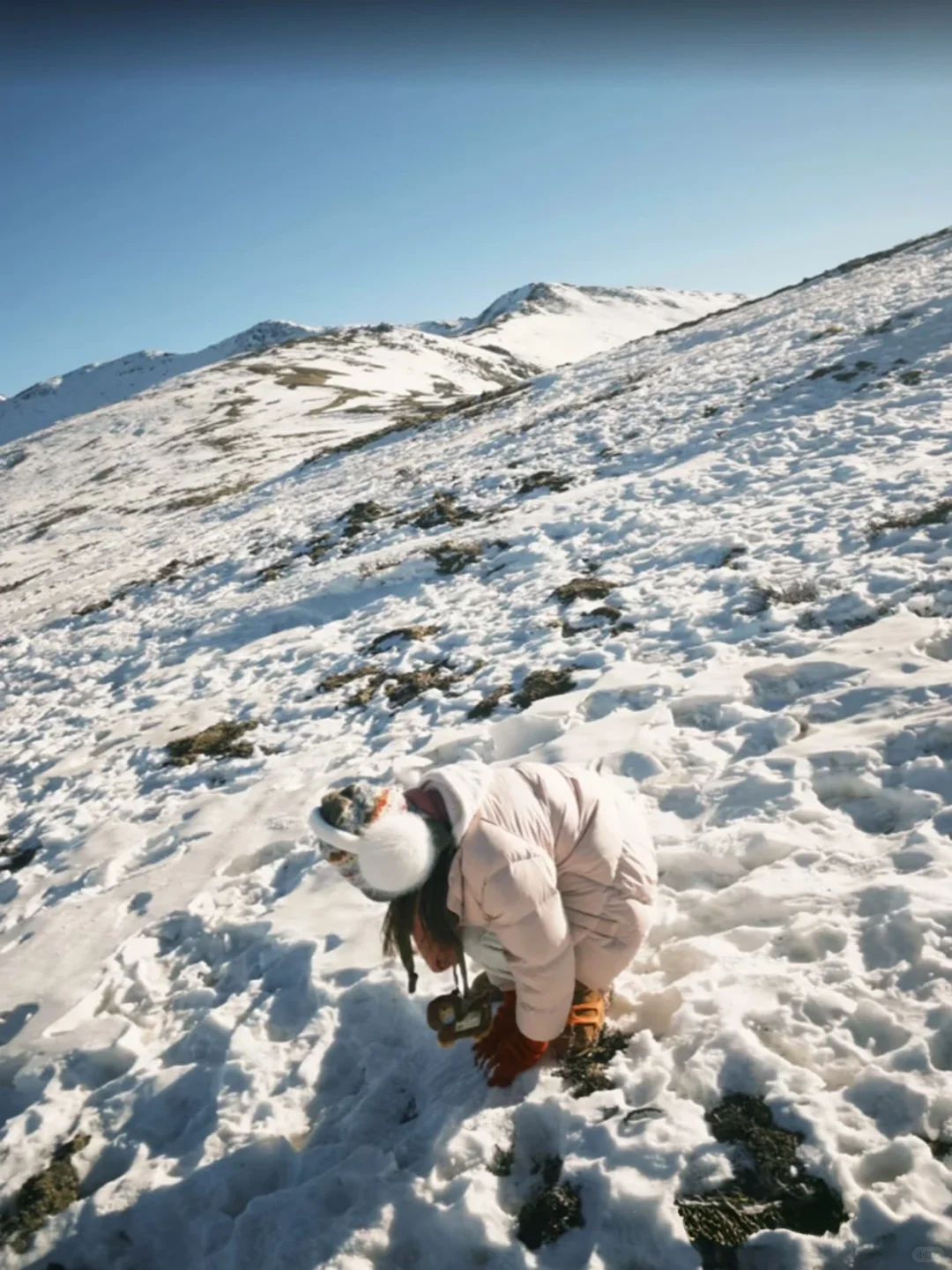 松潘玩雪已回!坚决不删,能劝一个是一个……