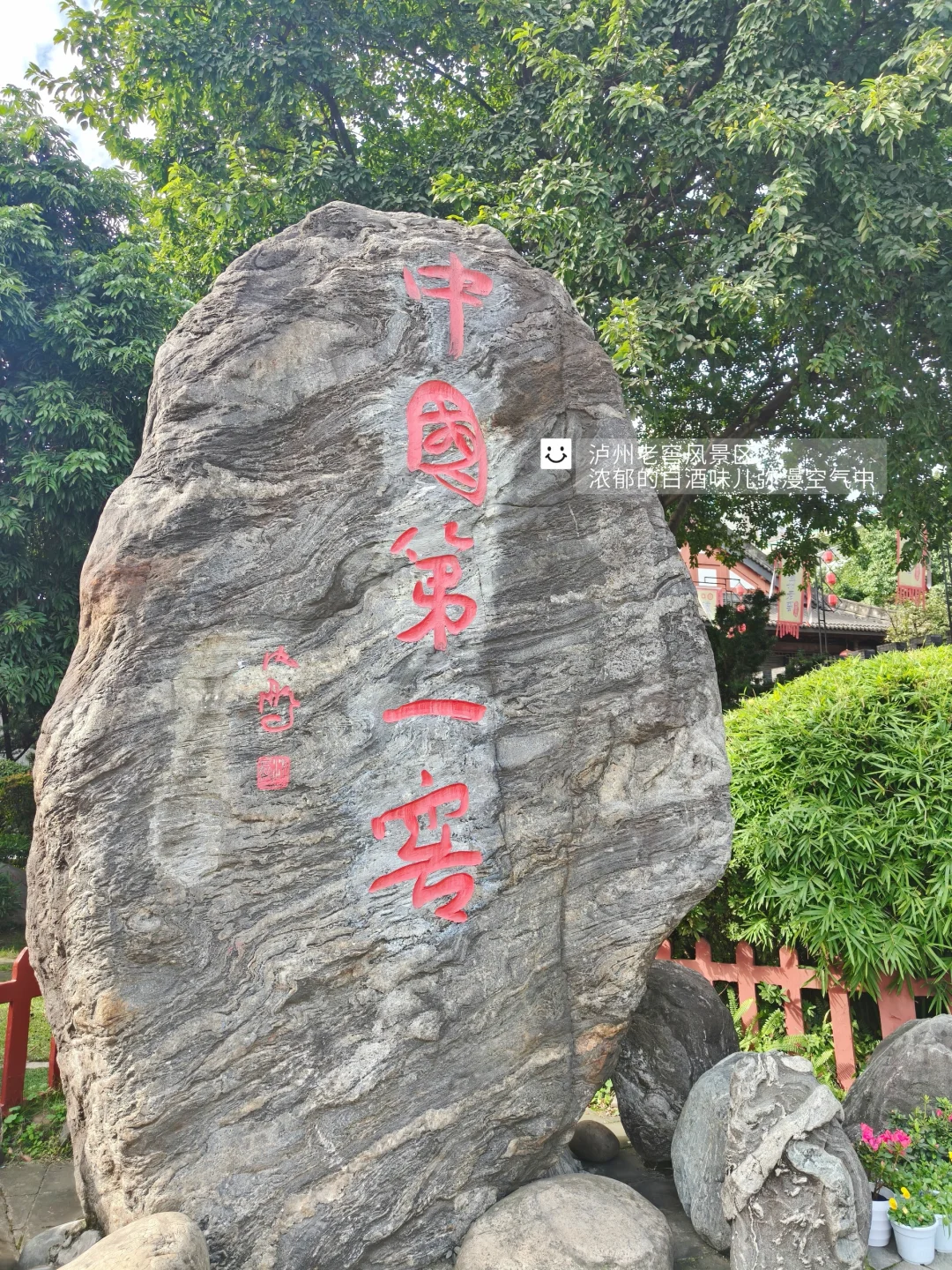 特种兵泸州一日游|重庆出发,一天玩透酒城