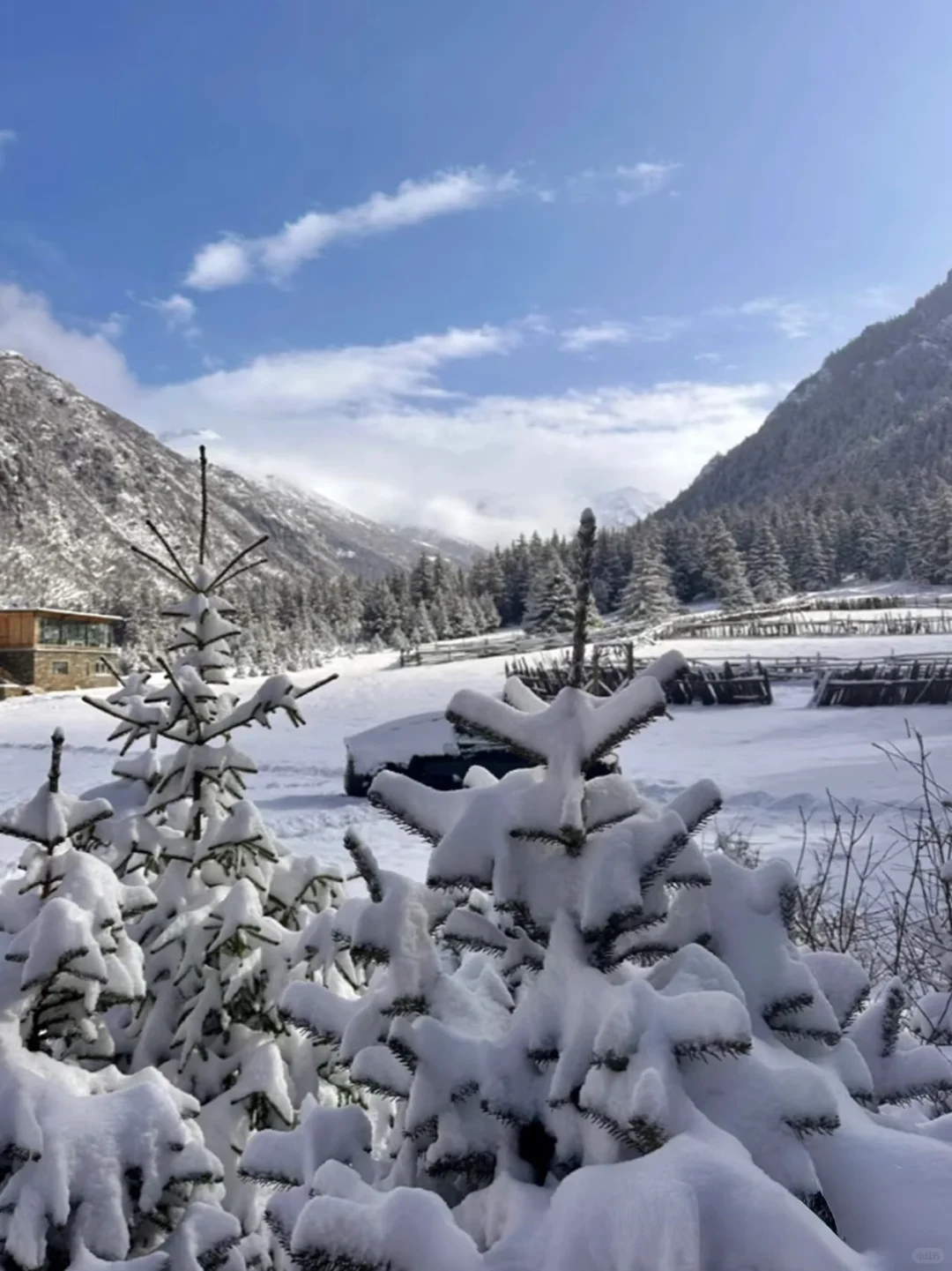 松潘玩雪已回!坚决不删,能劝一个是一个……