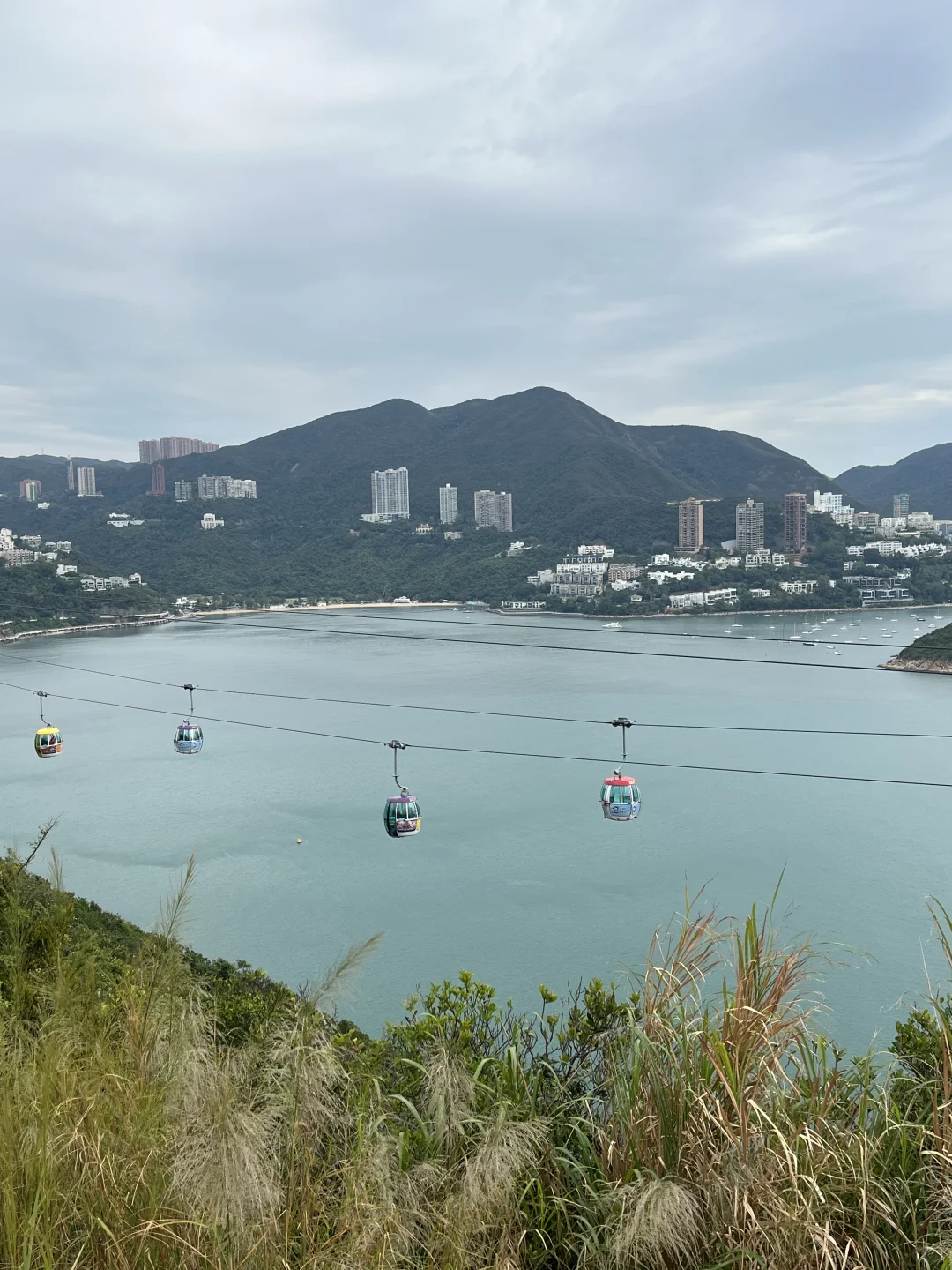 香港海洋公园小tips！