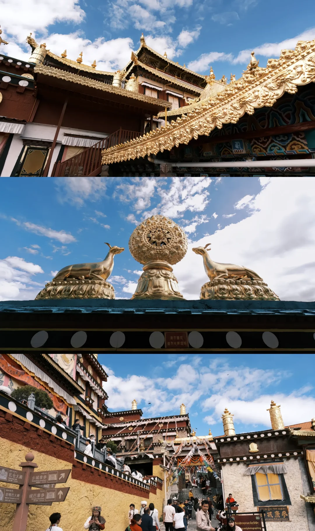 🌙J人狂喜📍这份香格里拉攻略锁死必看