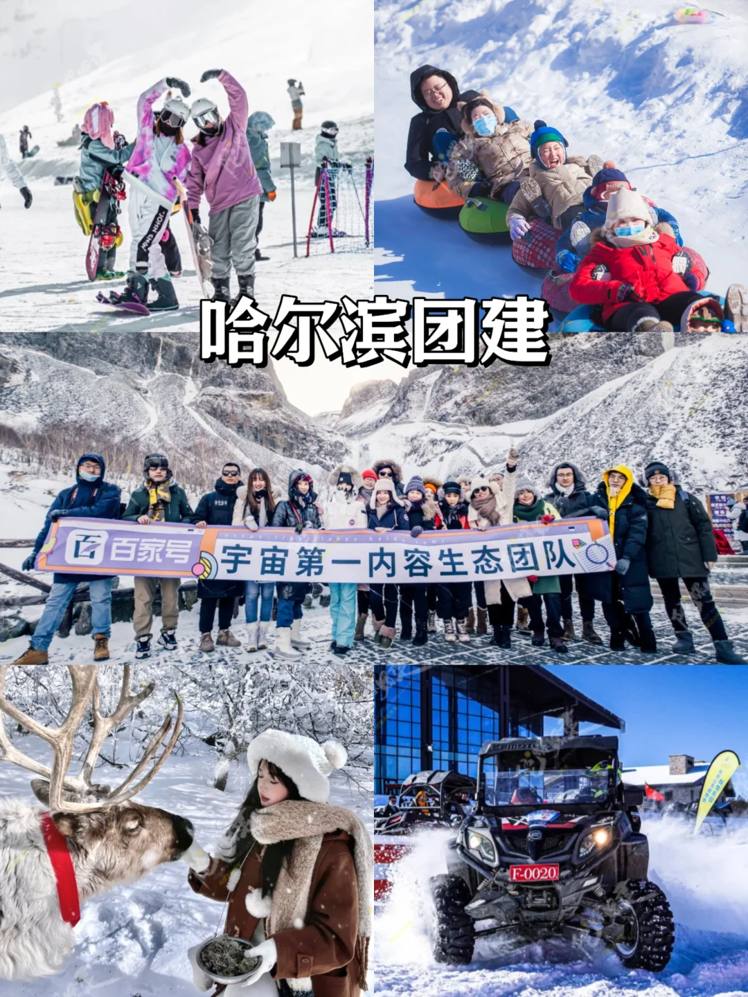 计划冬季公司旅游团建的HR姐妹❗直接抄大厂