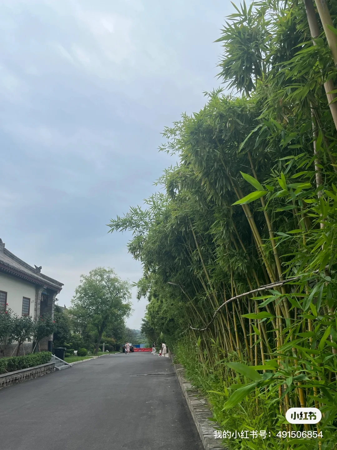 洛阳魏坡新序｜600年古村的新潮打开方式