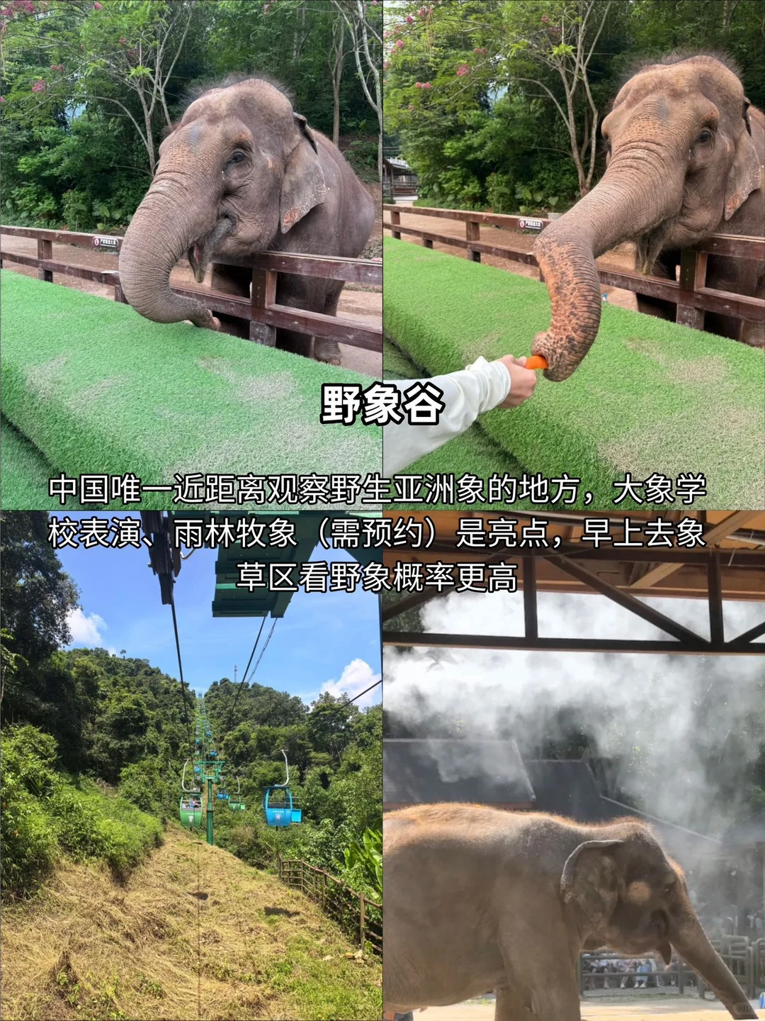 西双版纳精简攻略｜景点避坑+出片+美食