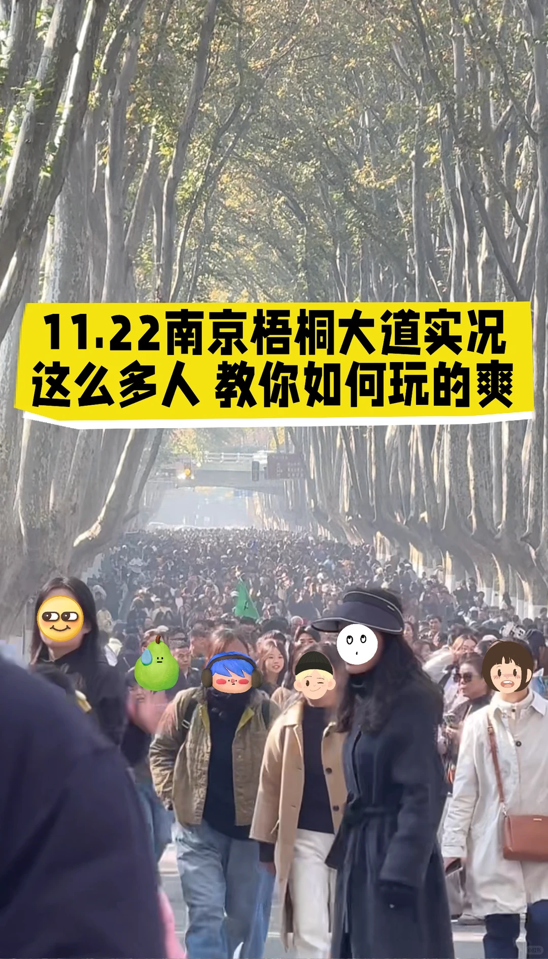 11.22实况，南京你真的没有淡季的吗？