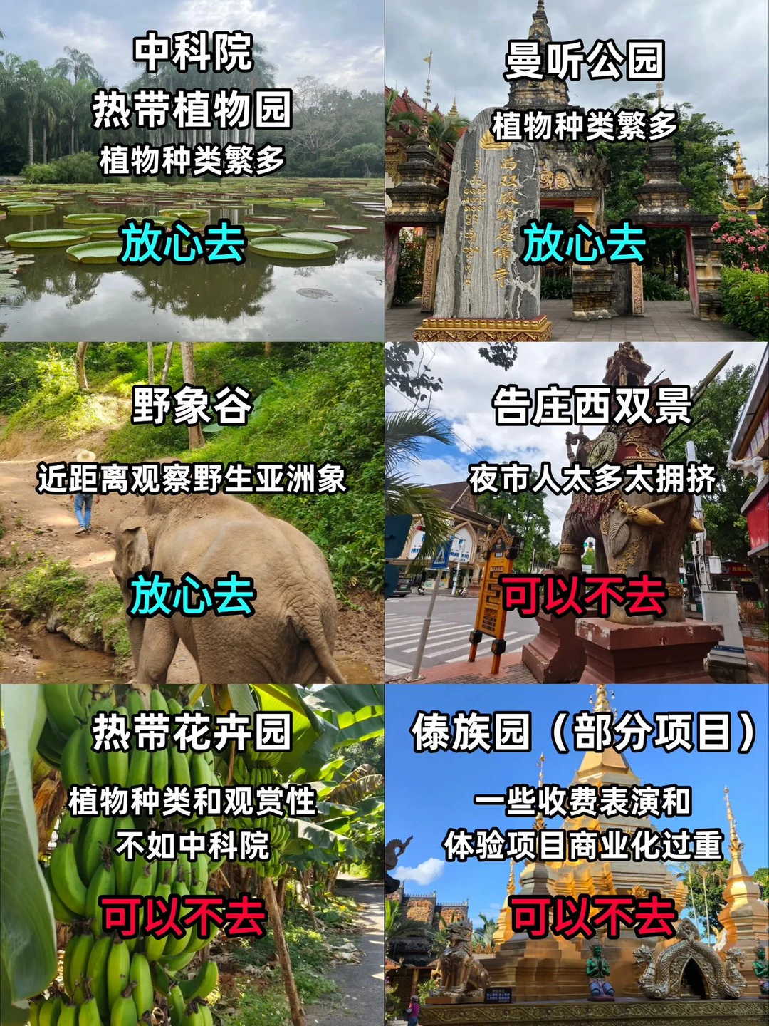 西双版纳精简攻略｜景点避坑+出片+美食