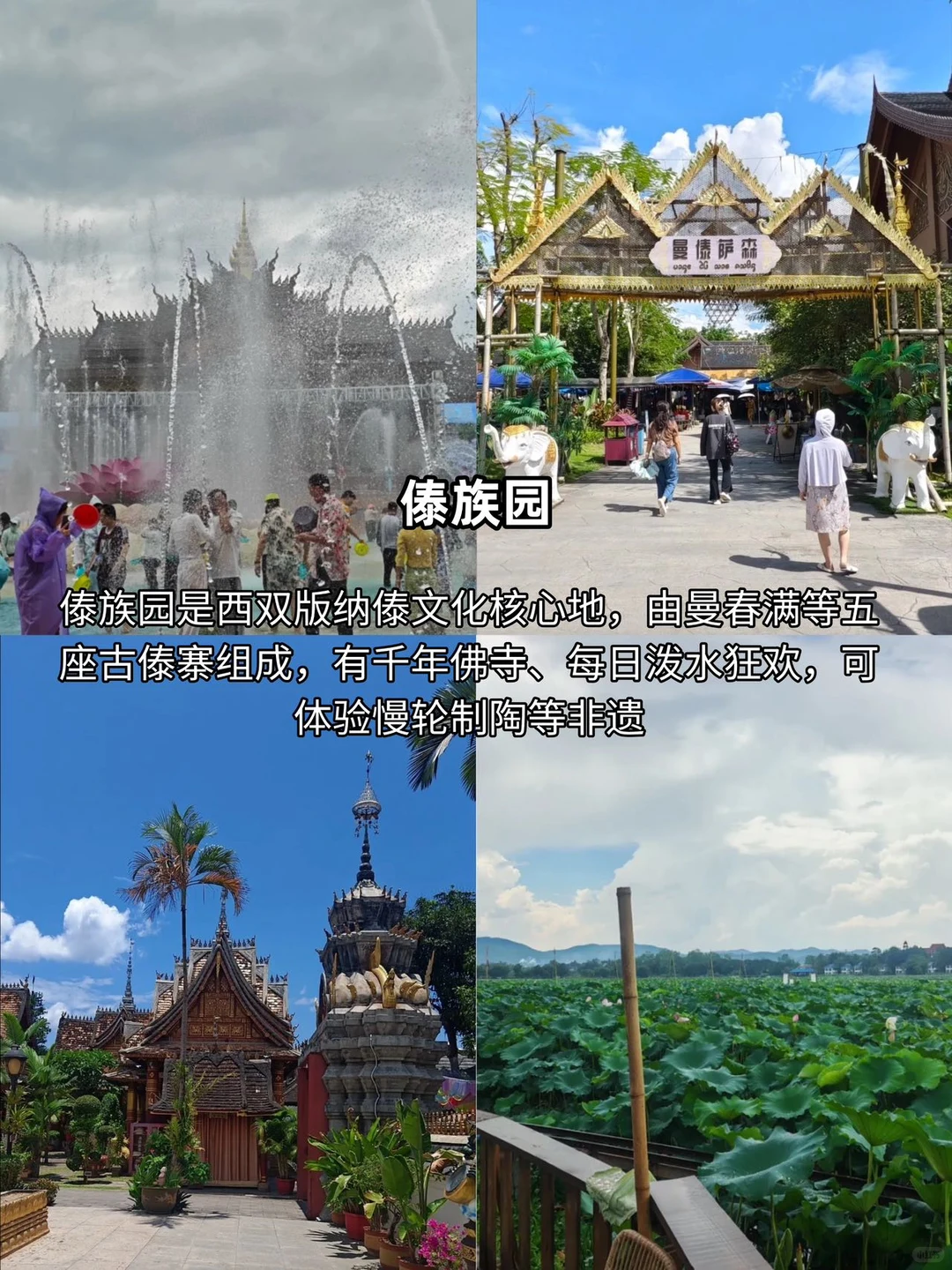 西双版纳精简攻略｜景点避坑+出片+美食