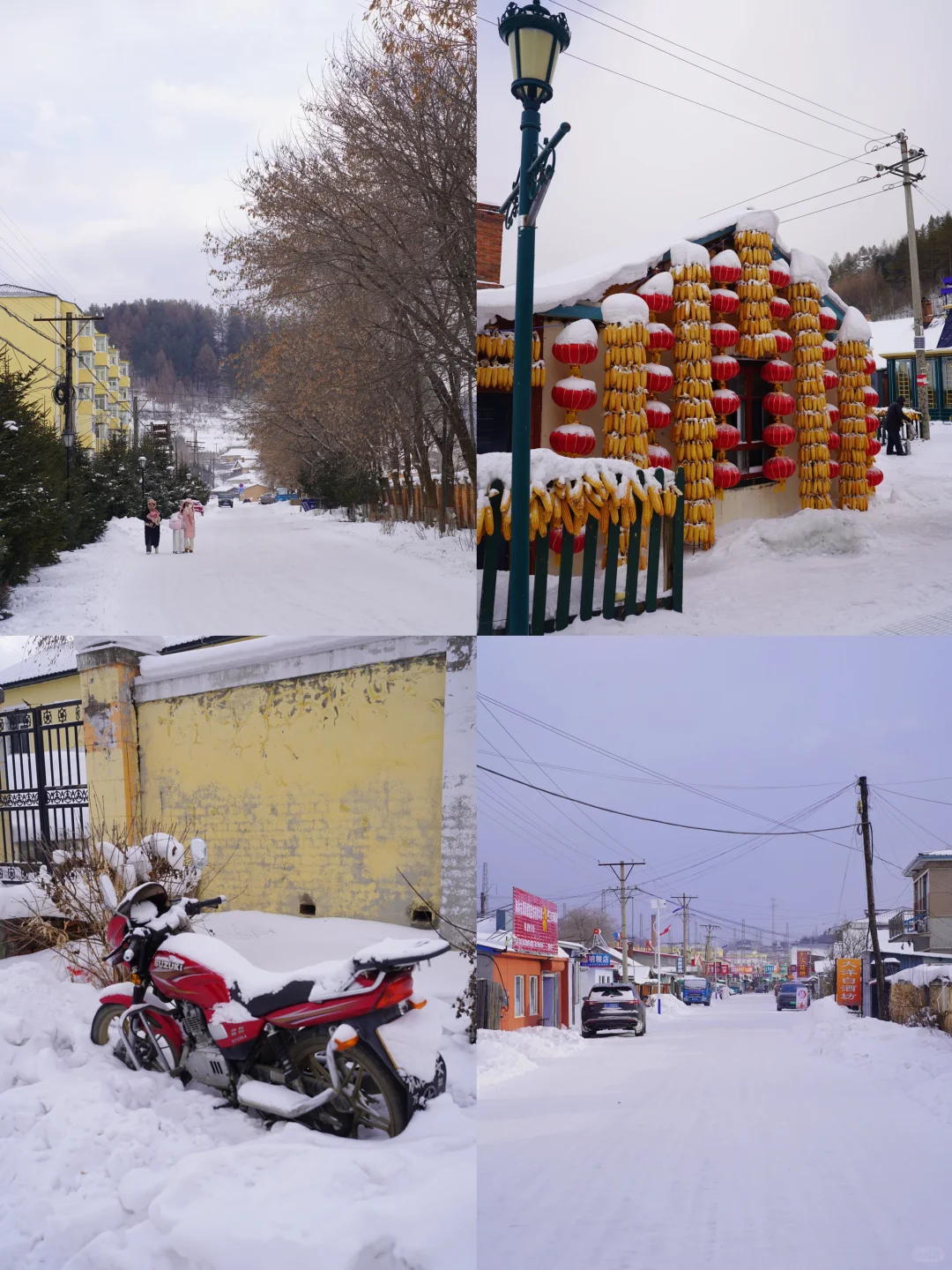 哈尔滨5天4晚遛娃天花板‼️ 直接抄作业!❄️