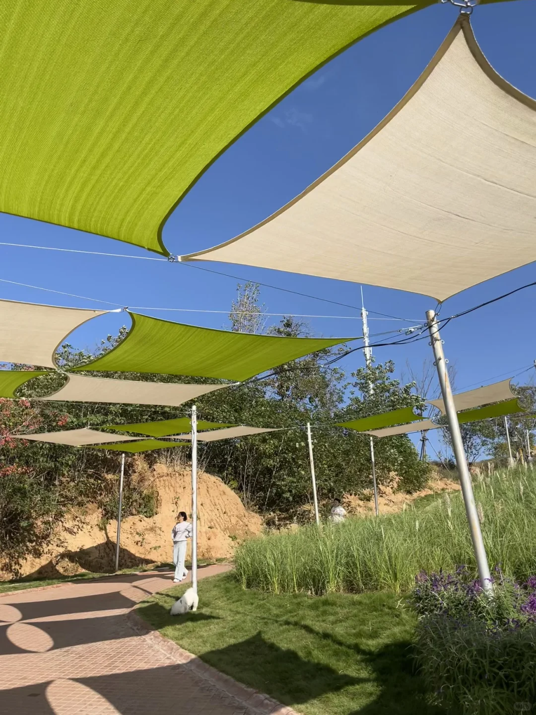 洛阳魏坡新序｜600年古村的新潮打开方式