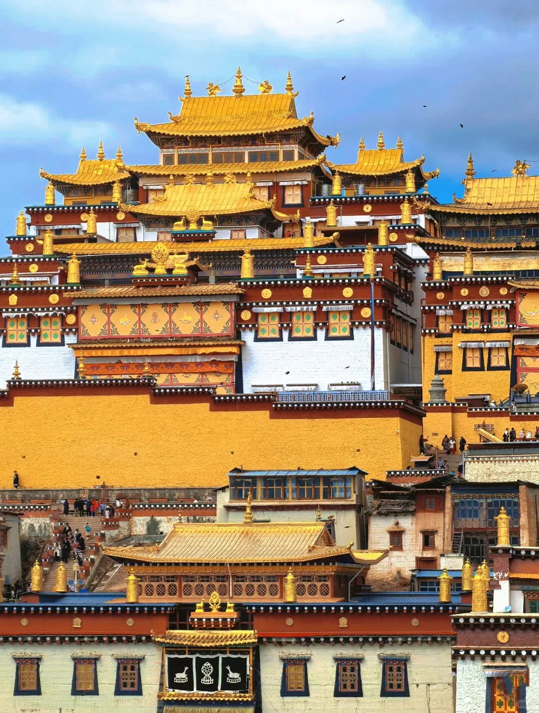 🌙J人狂喜📍这份香格里拉攻略锁死必看