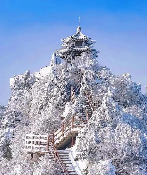 ‌✨洛阳三日｜必玩景点！