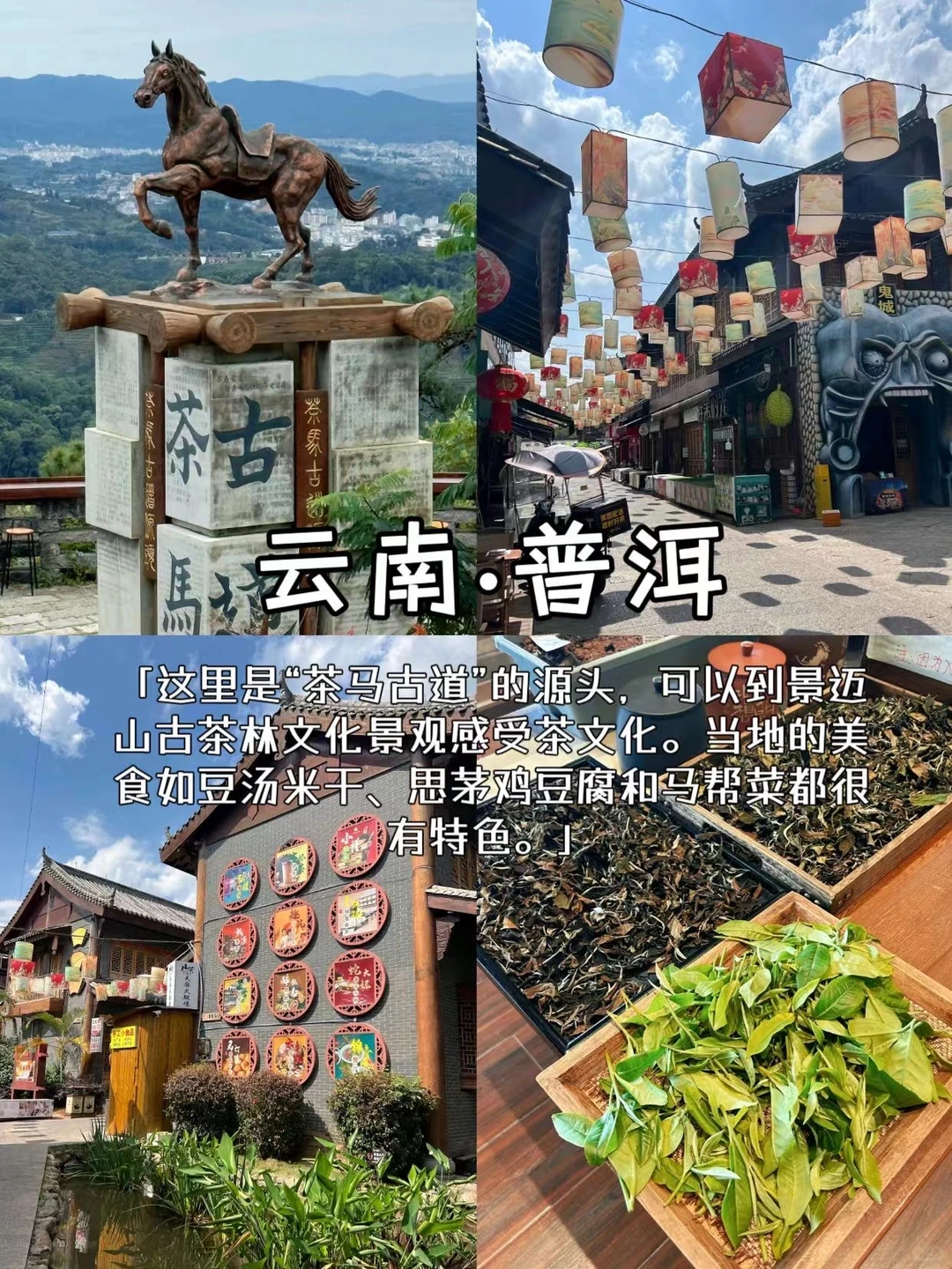 冬季反向旅游｜这些城市避寒简直绝了