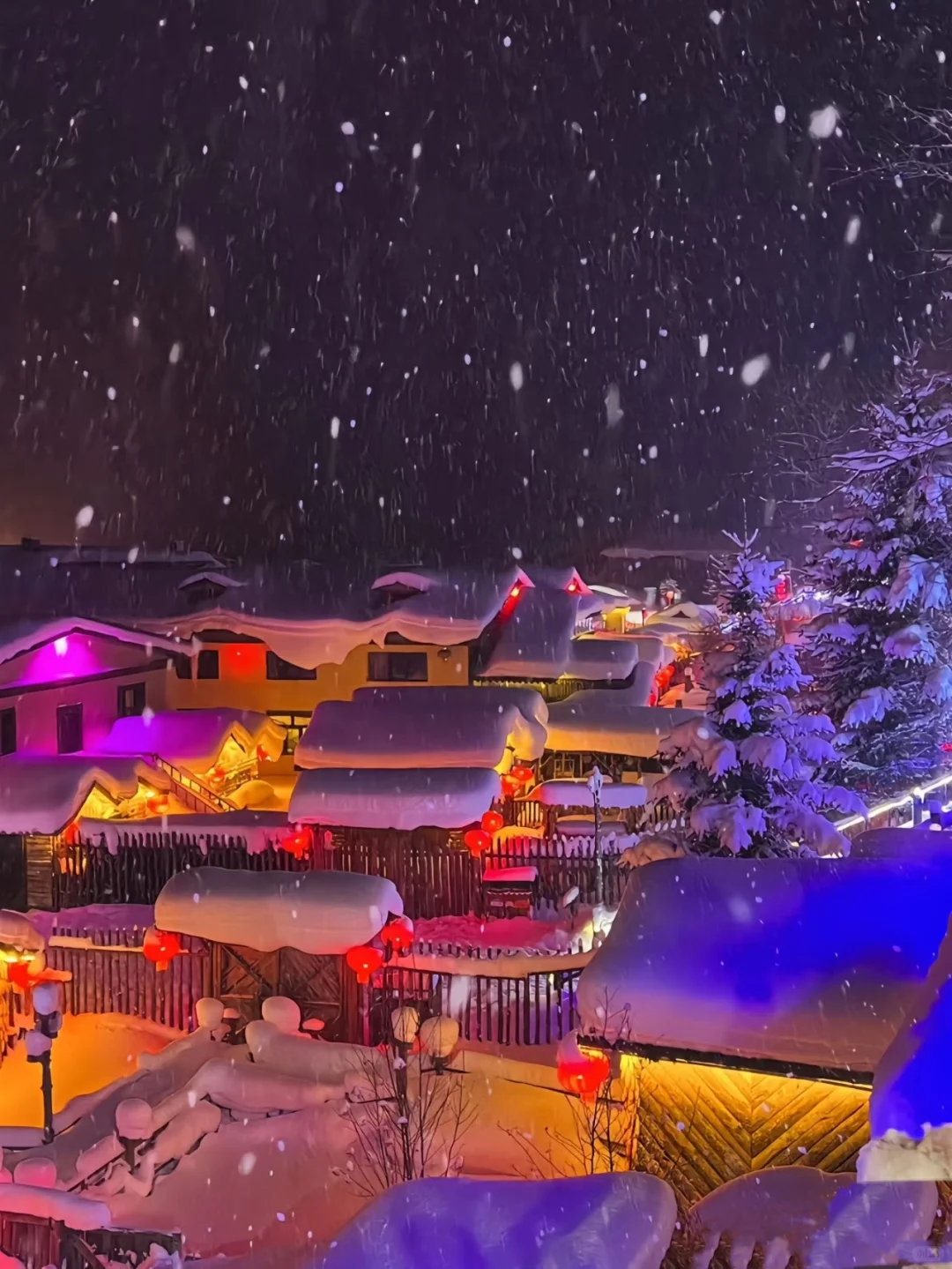 98元纯玩雪乡！日景+夜景+无购物超值