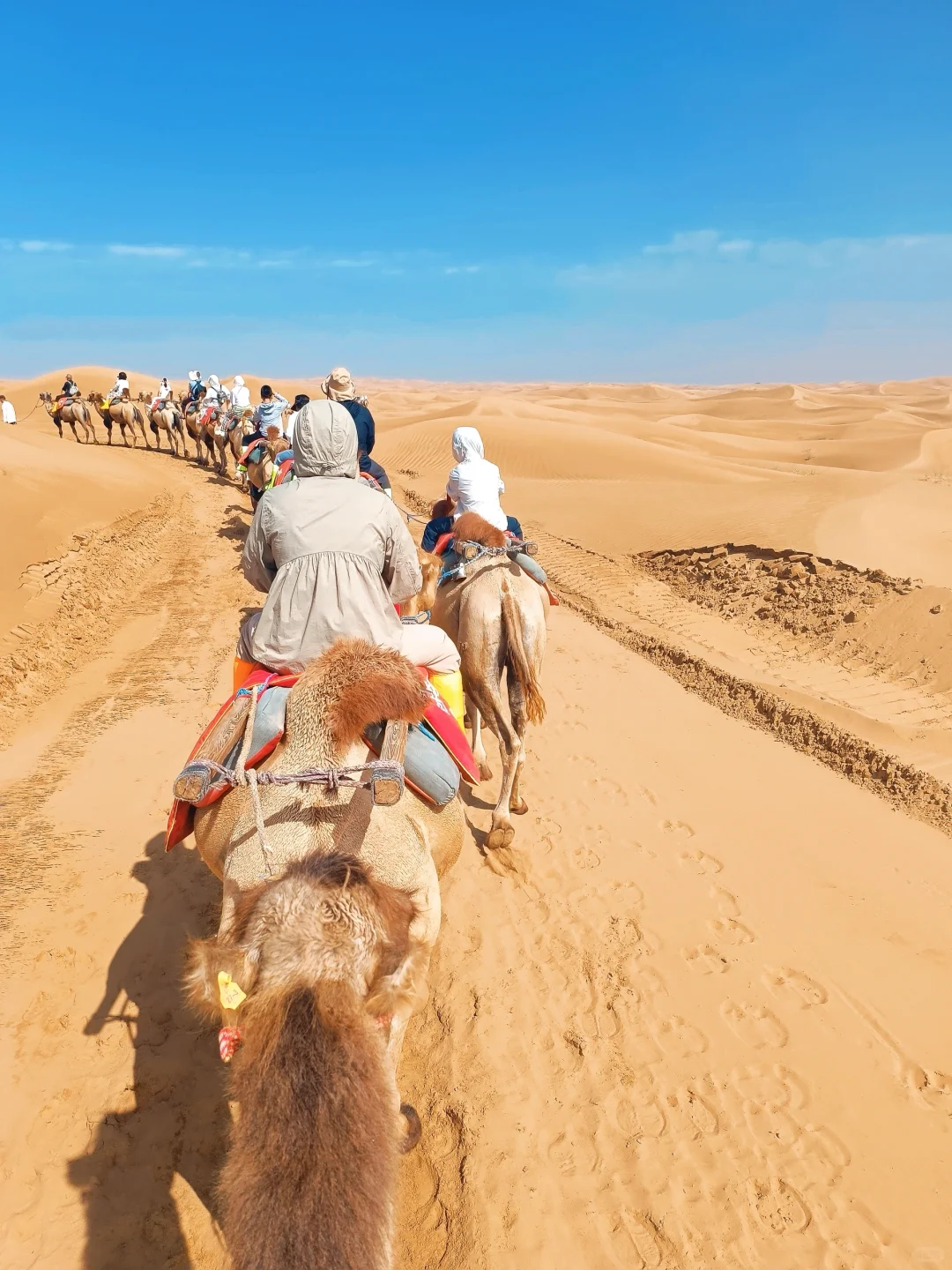 📍宁夏｜银川中卫7天6晚亲子游详细攻略🔛