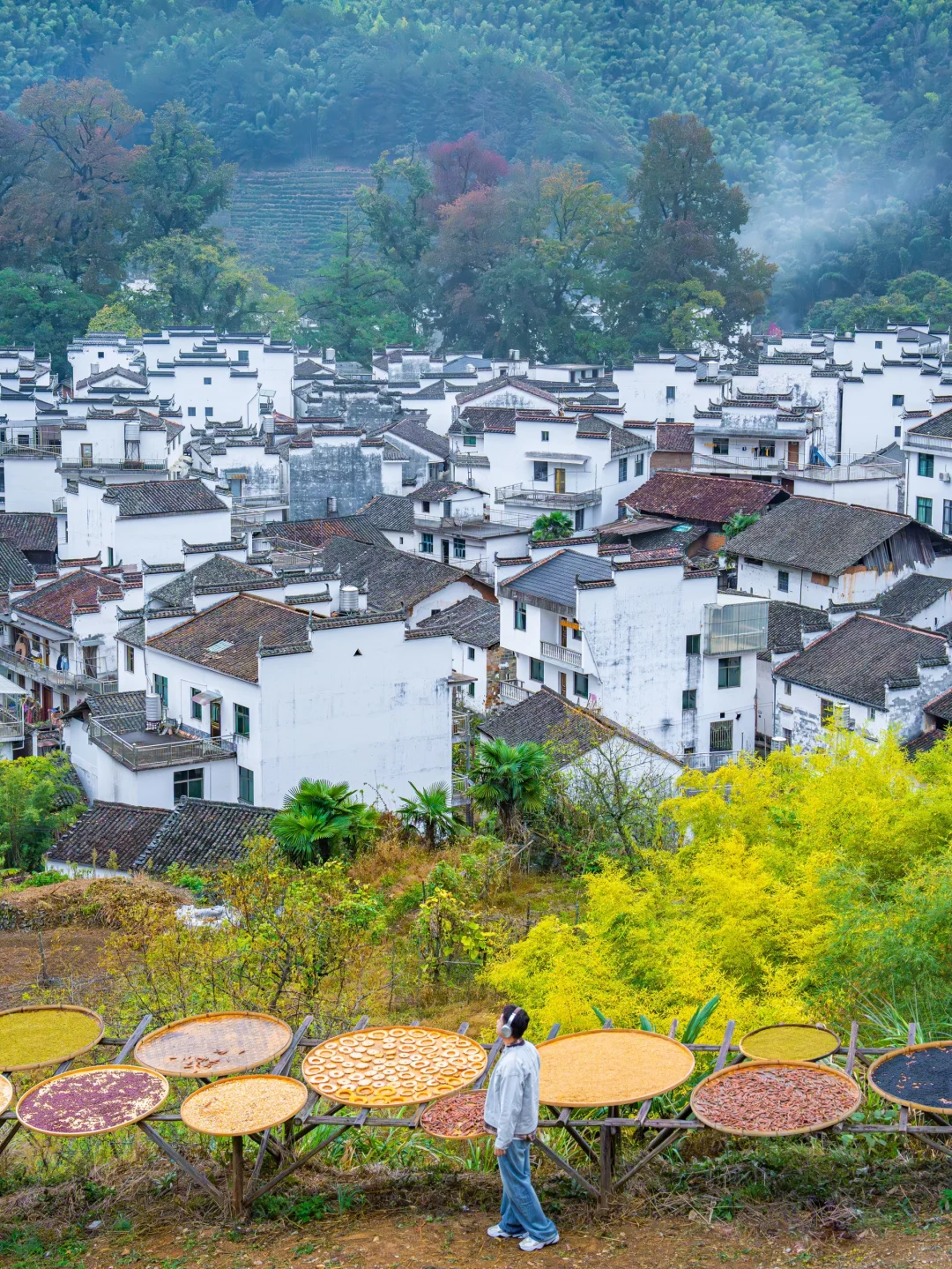 接下来的婺源,堪称国内旅游天花板‼️