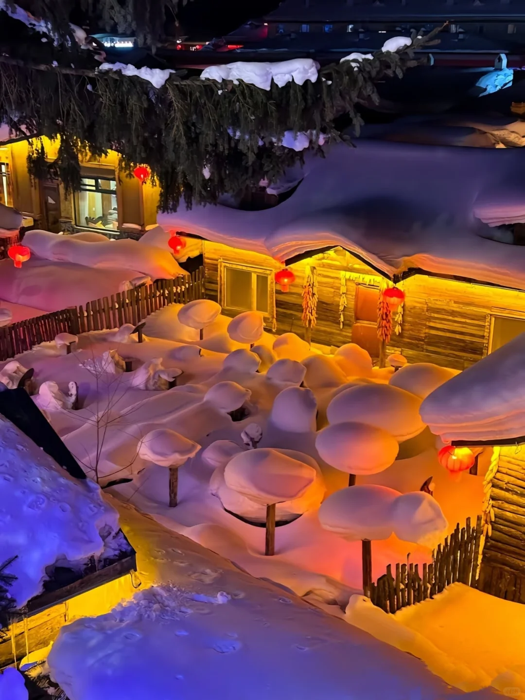 98元纯玩雪乡！日景+夜景+无购物超值