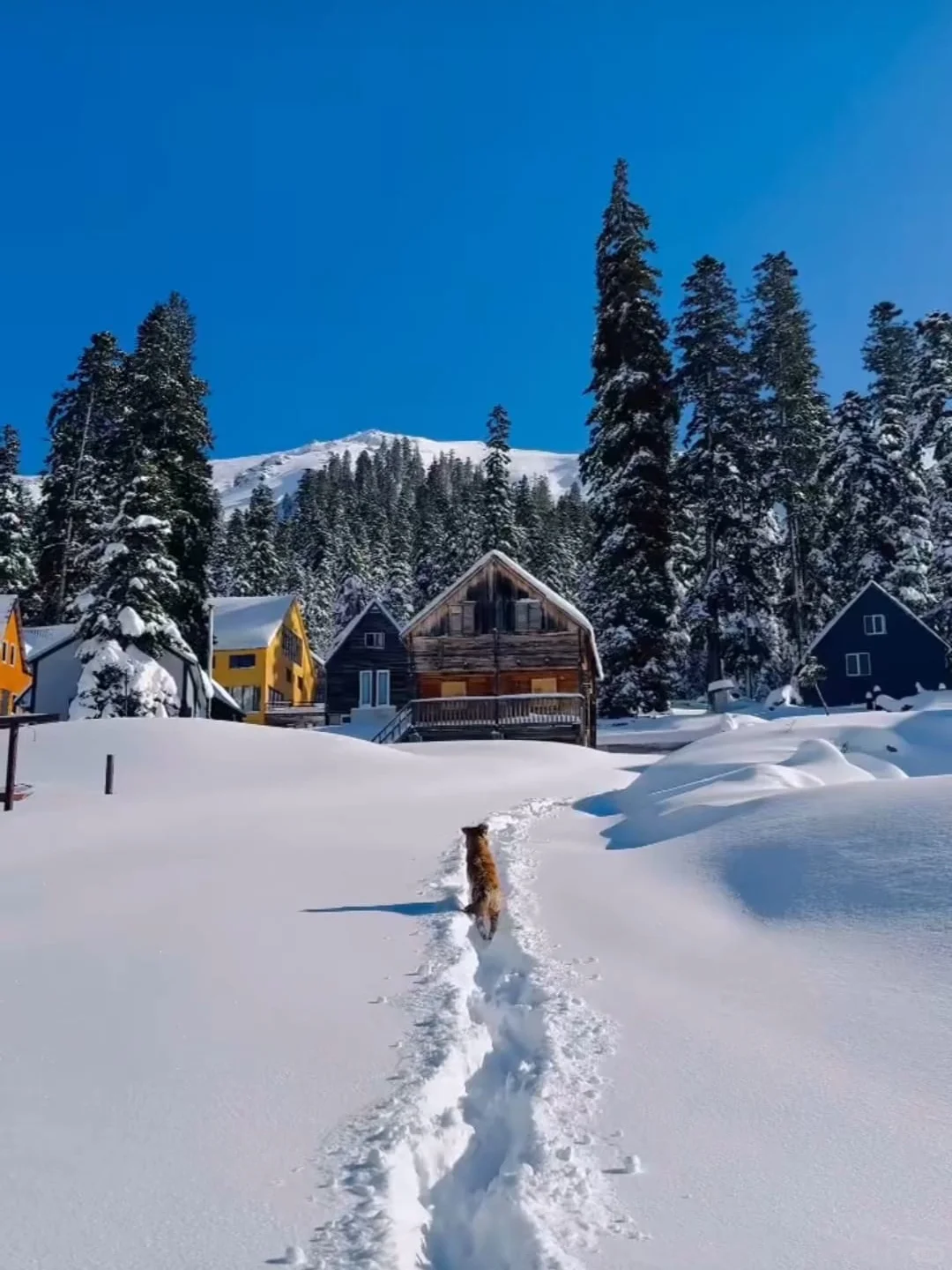 格鲁吉亚的冬天，是让人一眼惊艳的程度！